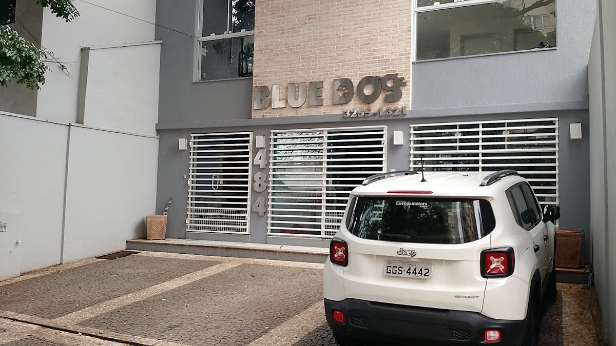 Blue Dog - Campinas