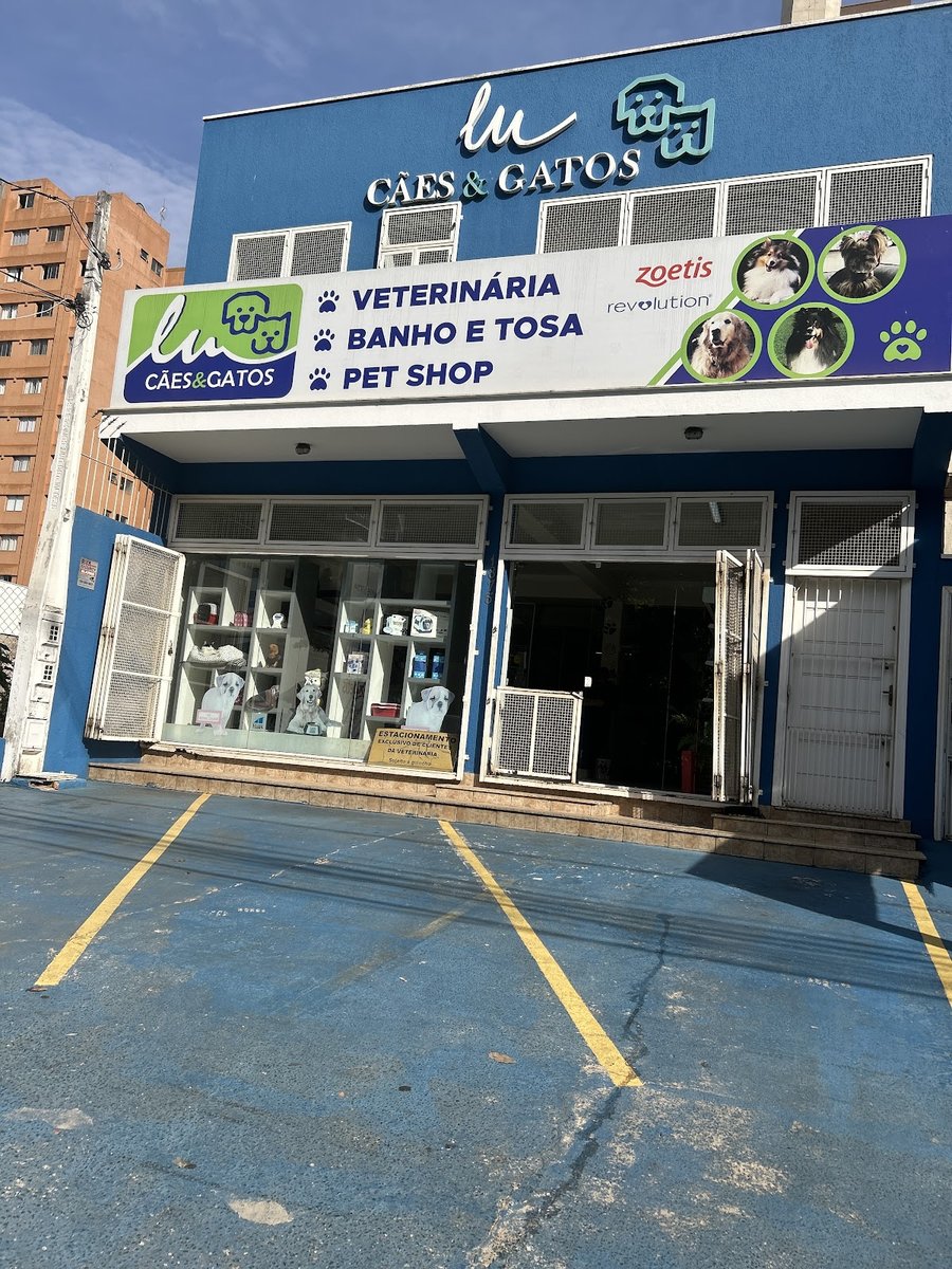 Lu Cães & Gatos
