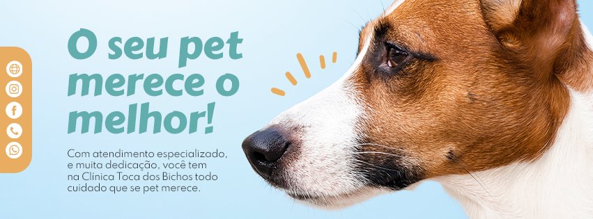 Toca dos Bichos - Pet Shop em São Caetano do Sul