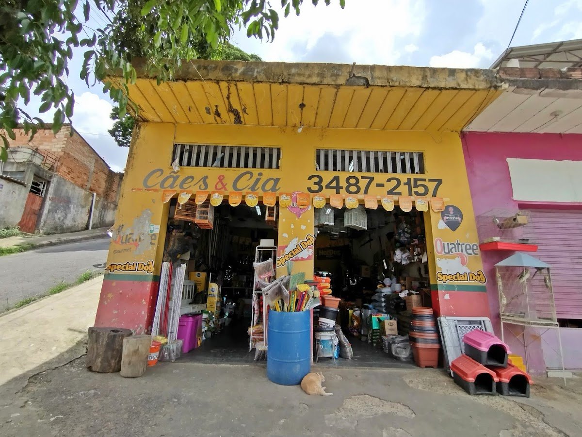 Clínica Veterinária Cães e Cia