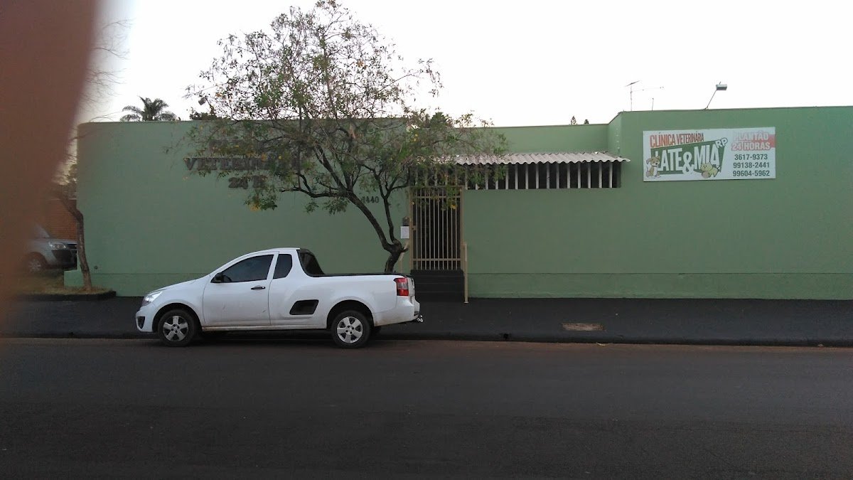 Late, Mia & Cia - Pet Shop - Pet Shop em Ribeirão Preto