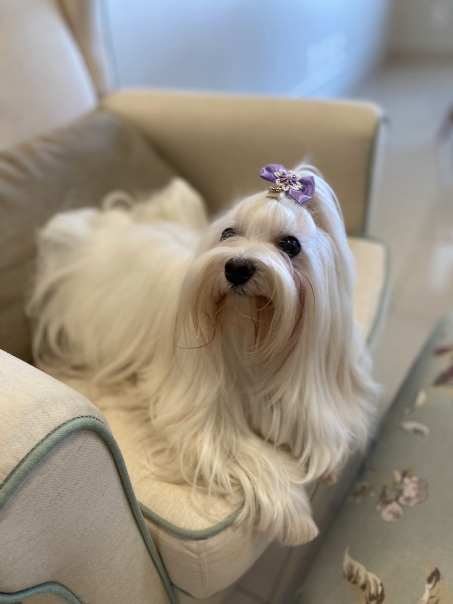 PARANIMAIS Pet shop e clínica veterinária