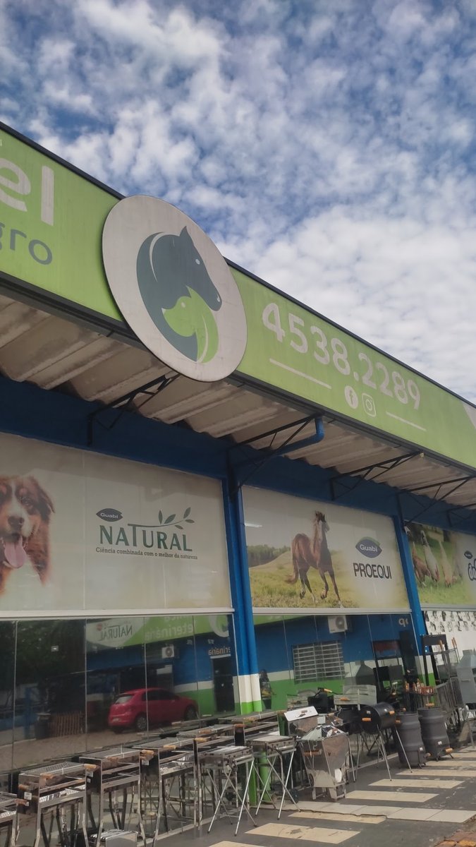 Pet Shop 29 - Pet Shop em Itatiba