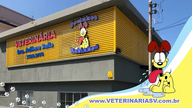 Clube do Focinho - Pet Shop em São Vicente