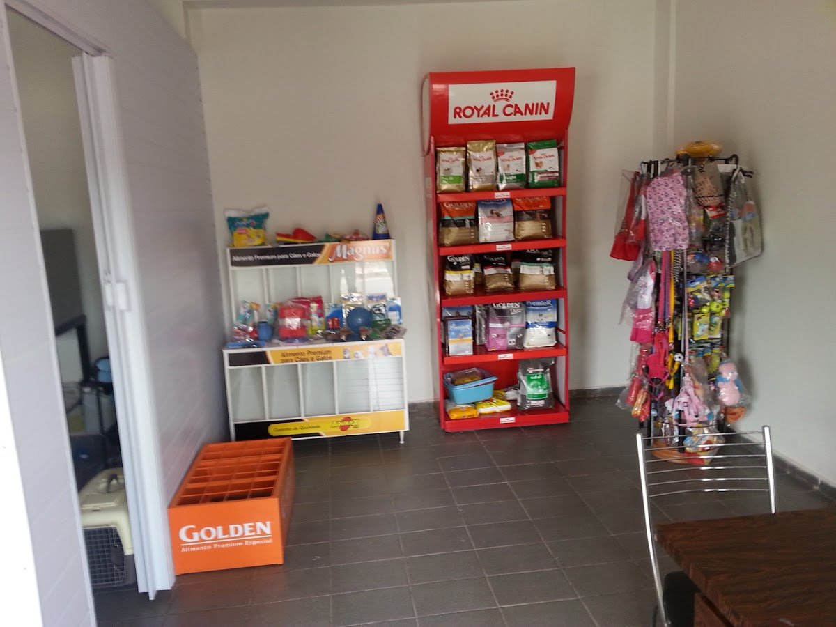 Banho e Tosa Belas Artes