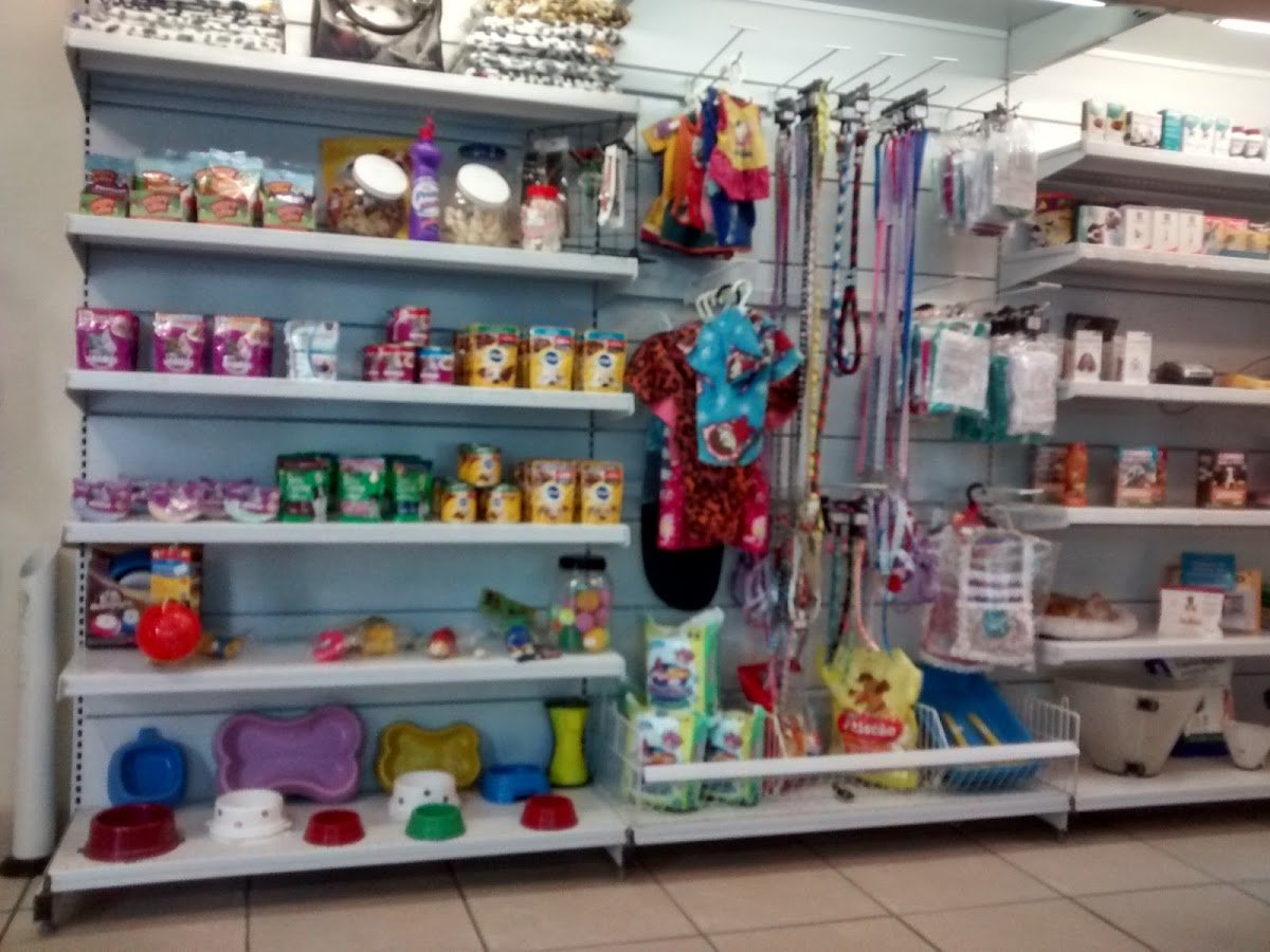 Reino Animal Clínica Veterinária - Bauru