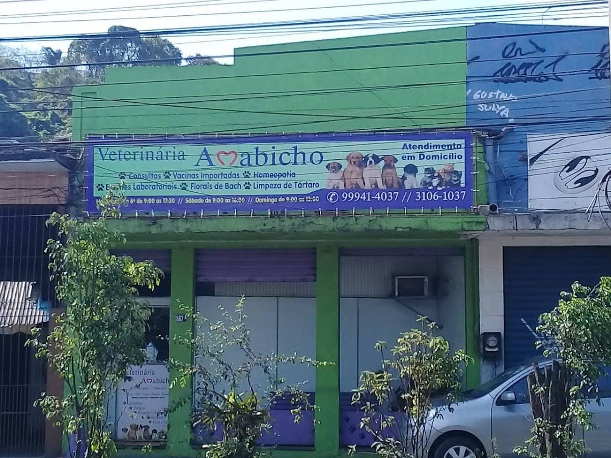 Veterinária Ama Bicho