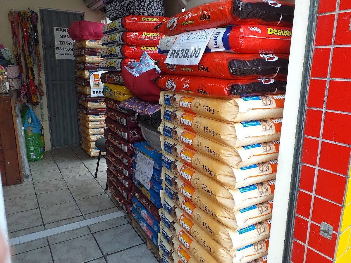 Magazine Animal - Banho e Tosa