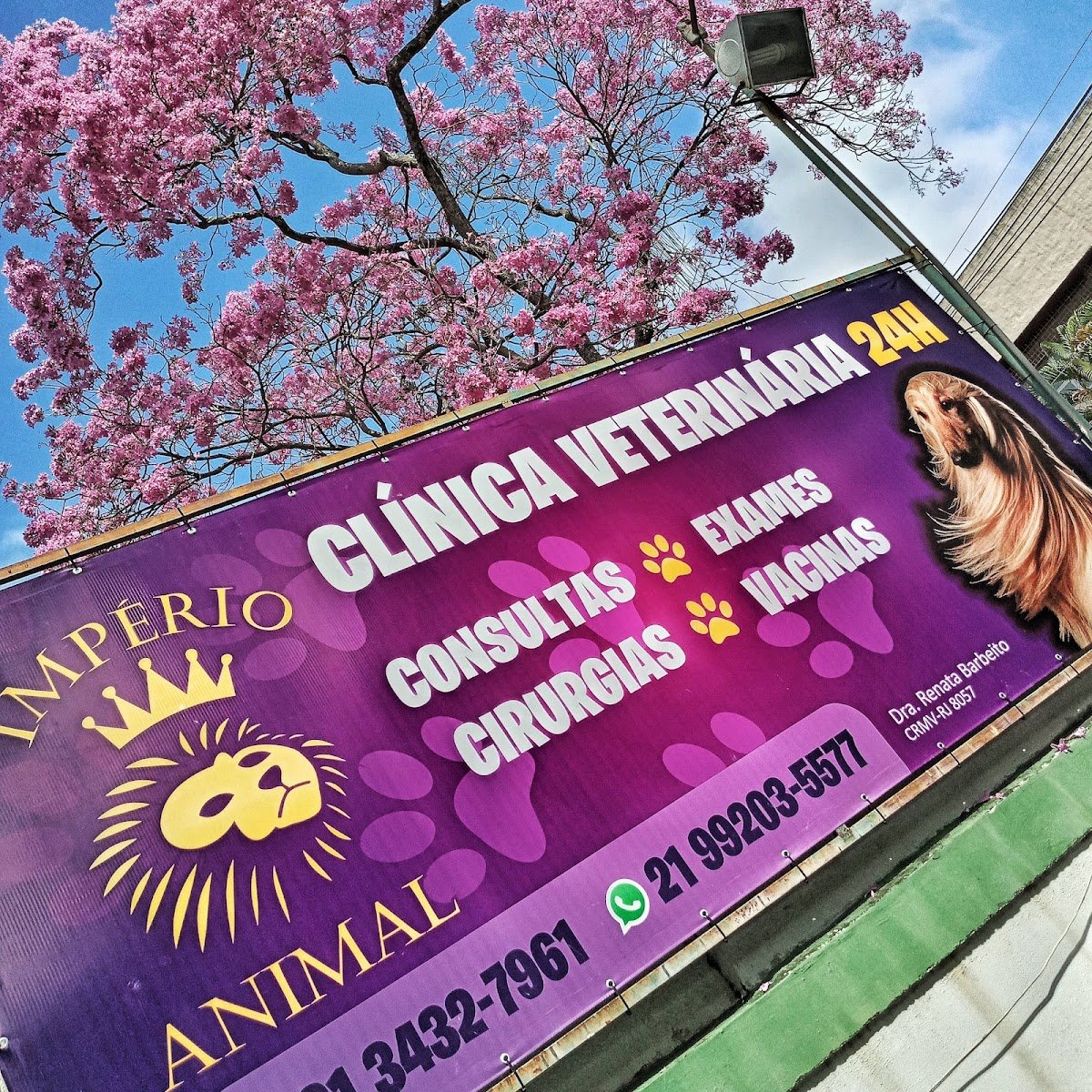 Império Animal Clínica Veterinária 24 H
