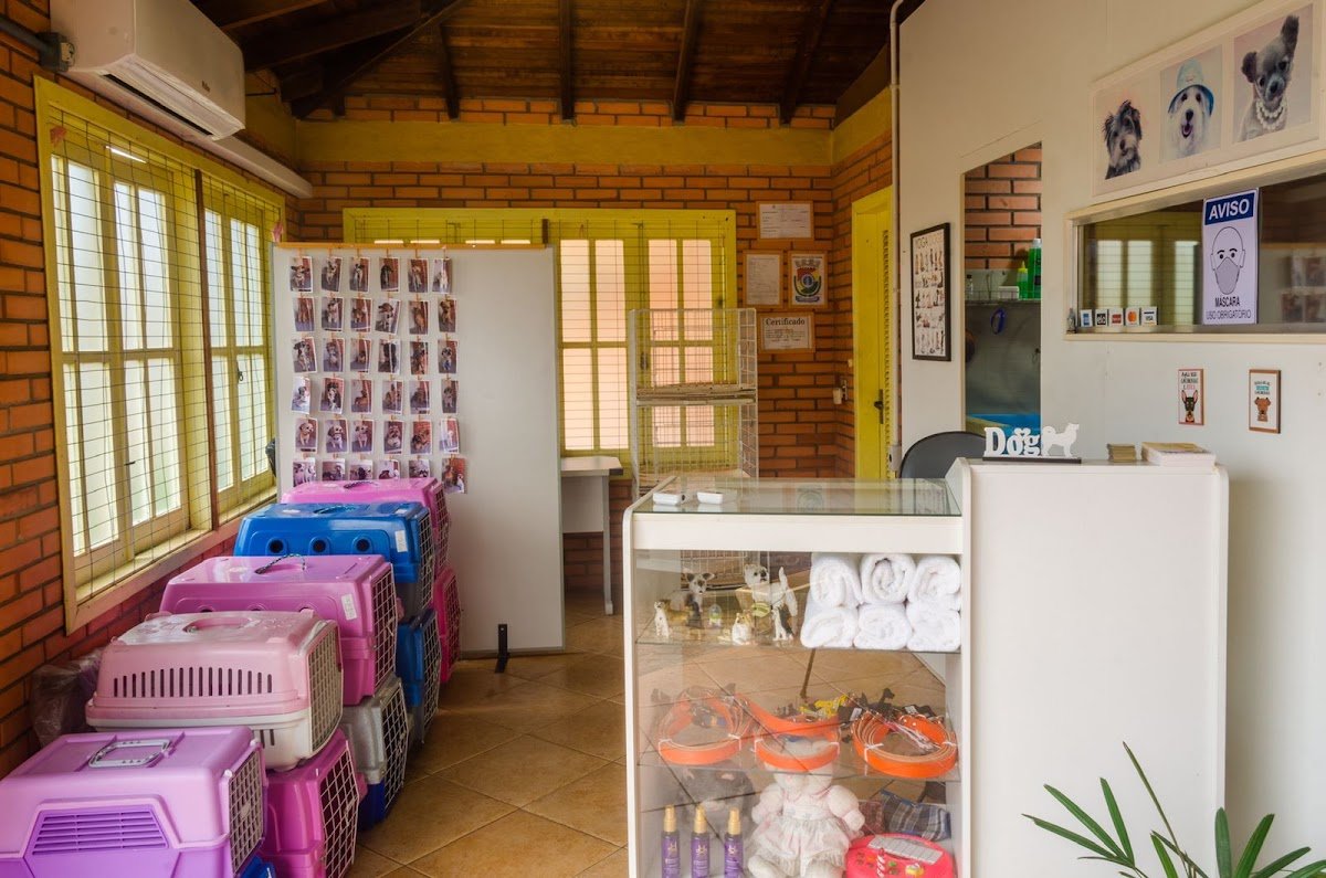 Pet Shop Bom Pra Cachorro - Pet Shop em Novo Hamburgo