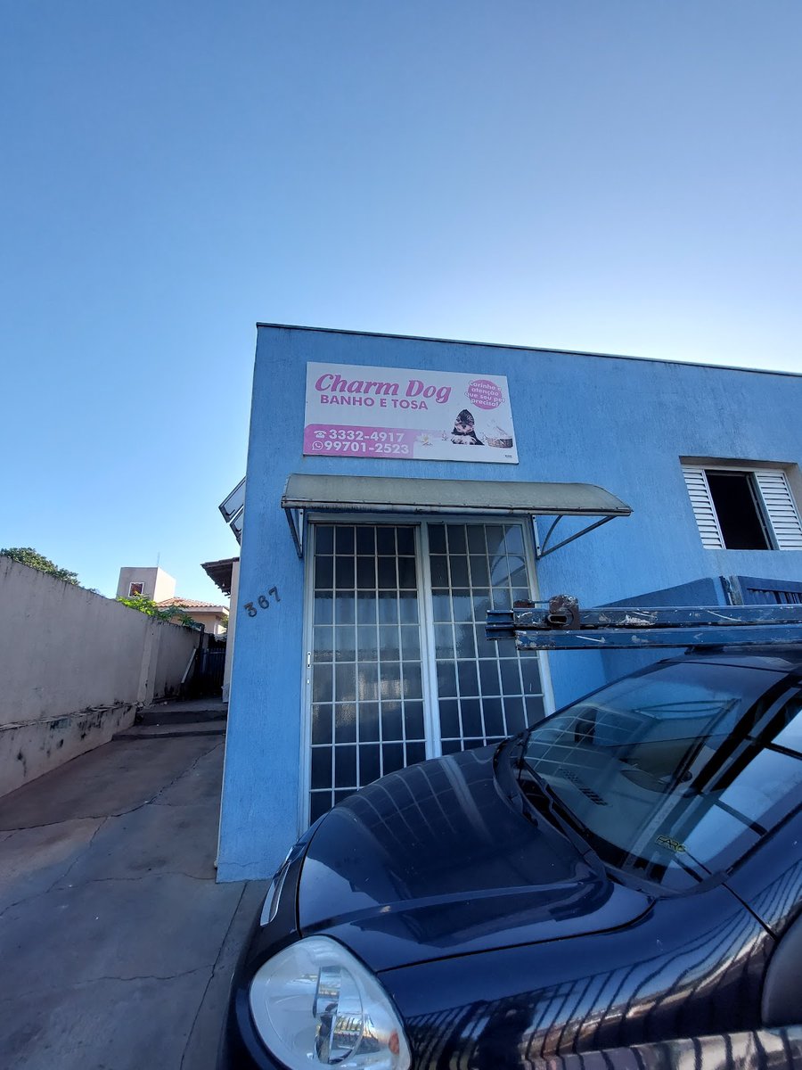 Charm Dog Banho E Tosa