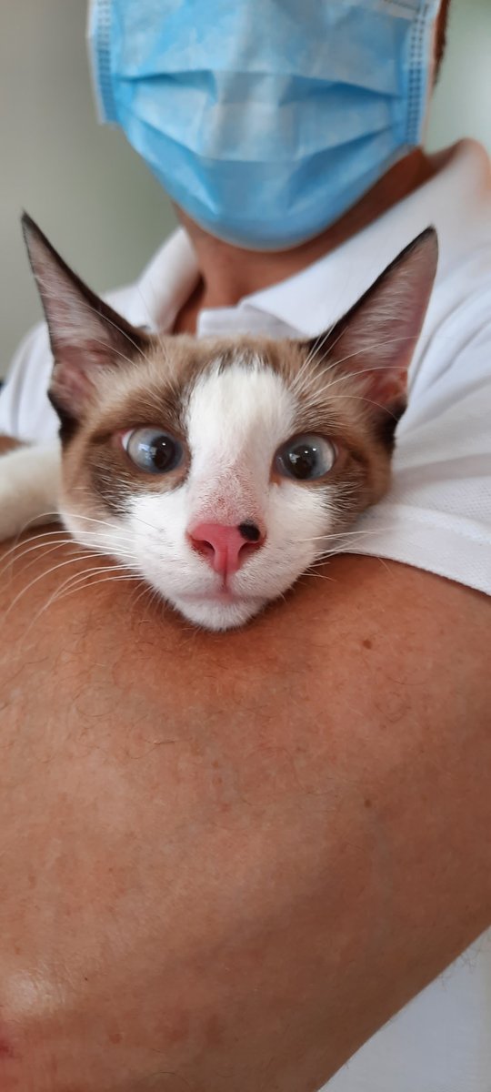 É o Bicho Veterinaria