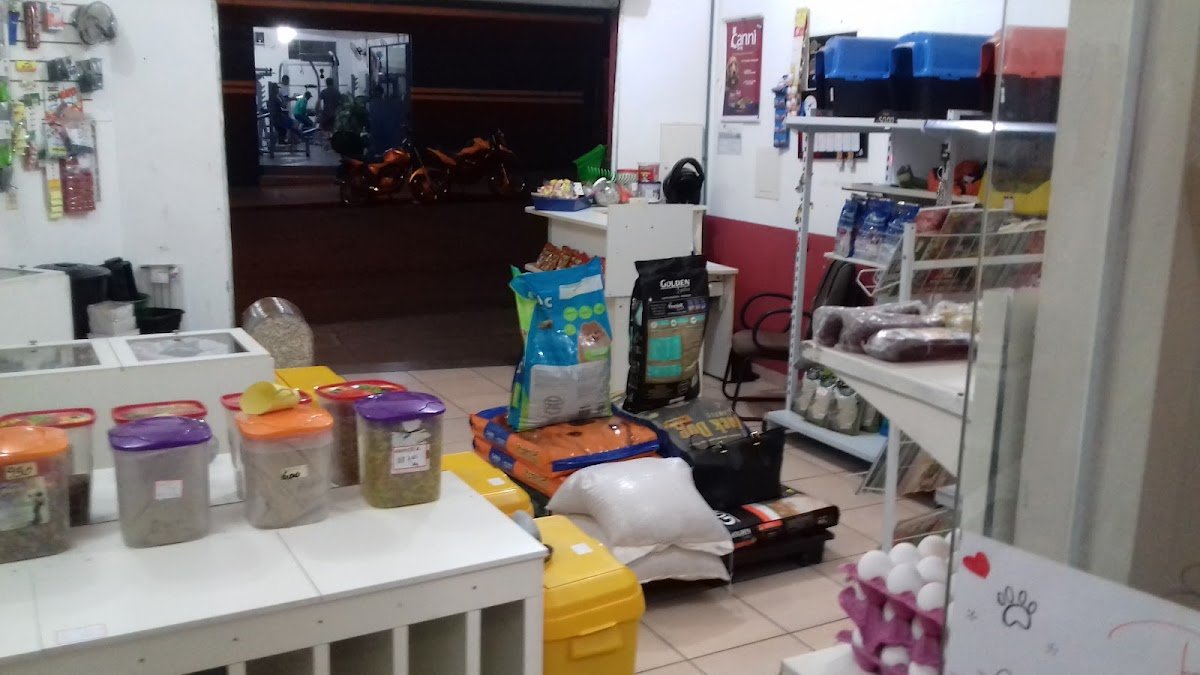 Pet Shop Vida De Cão