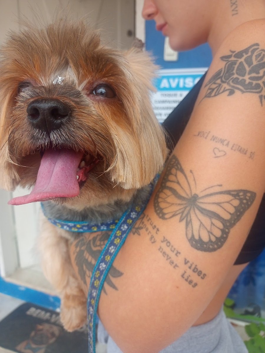 Veterinária Tribo Animal