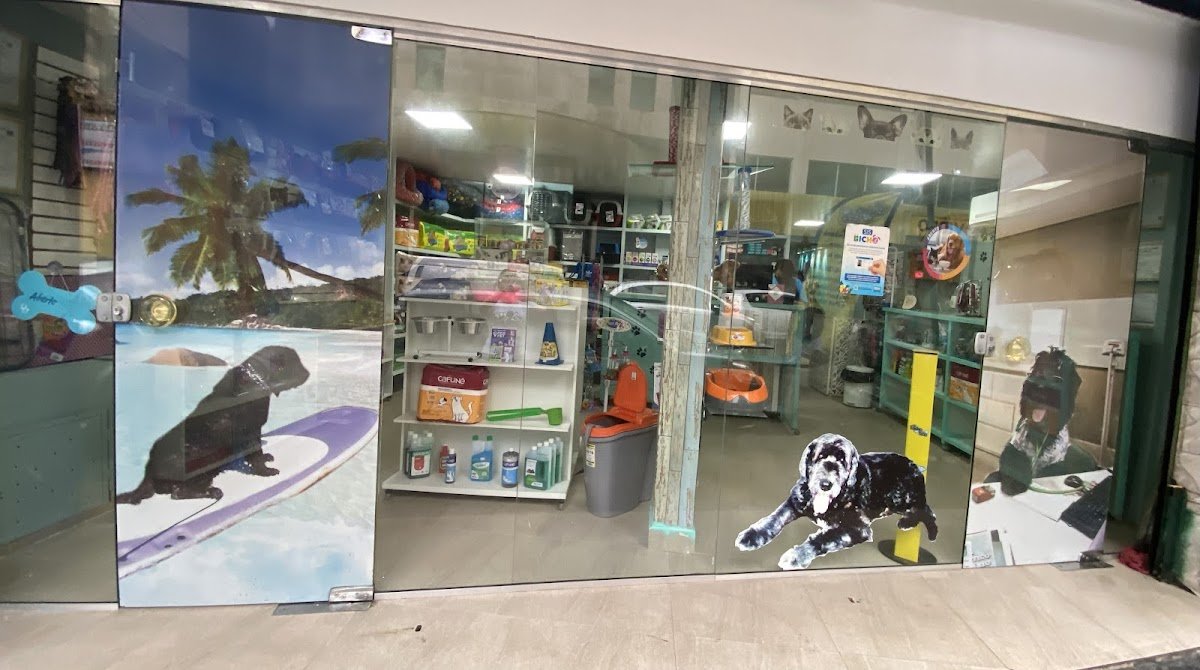 Pet Shop Bicho Bão D+