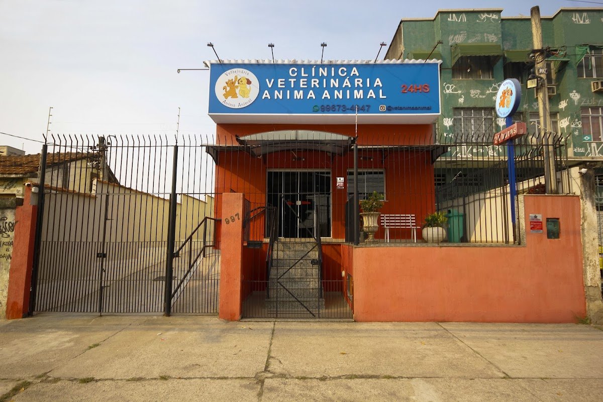 Veterinária anima animal