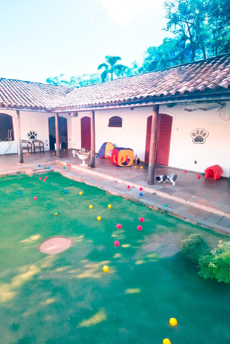 Pet House - Creche Hotel