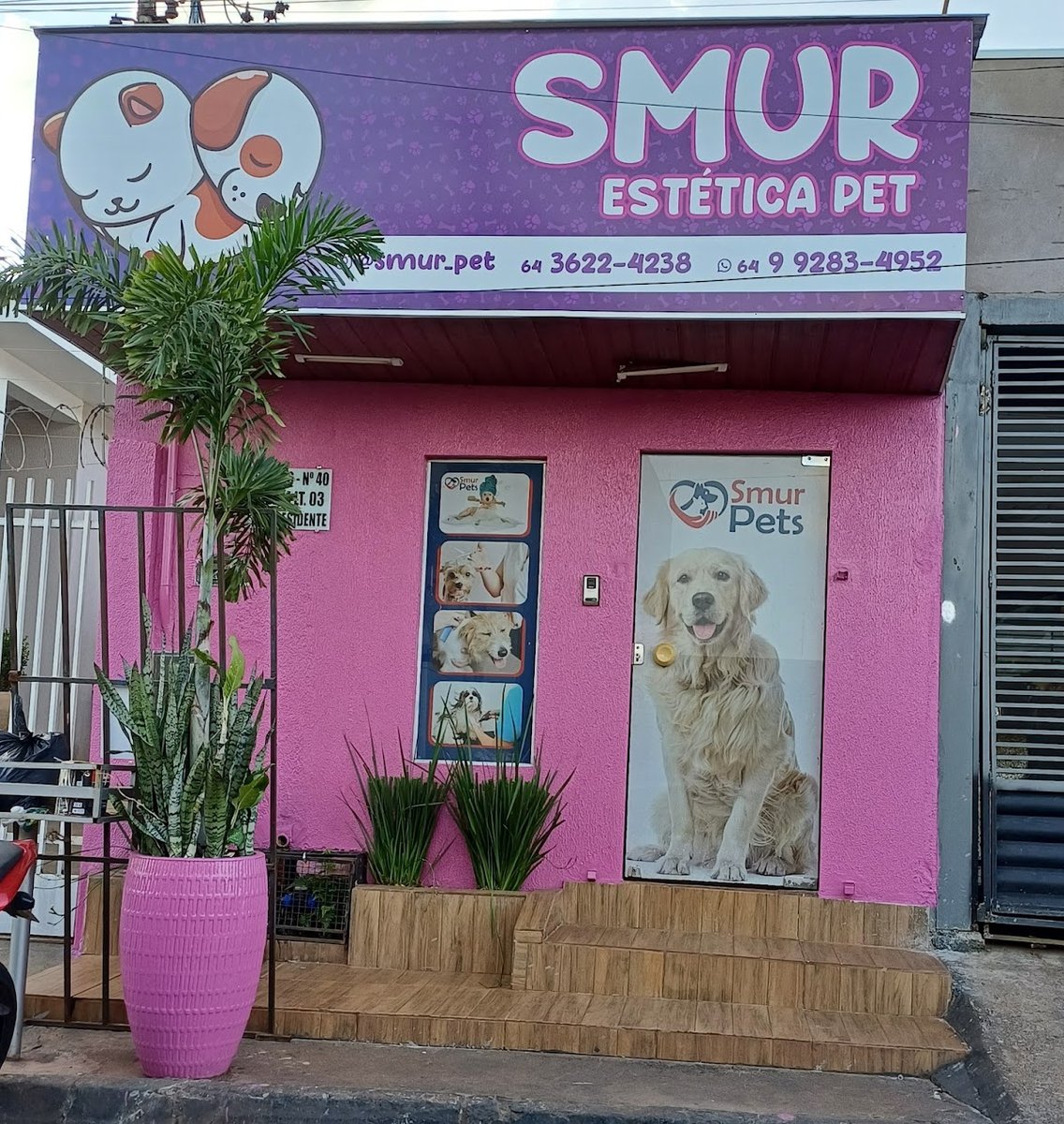 Pet shop Smur Pets