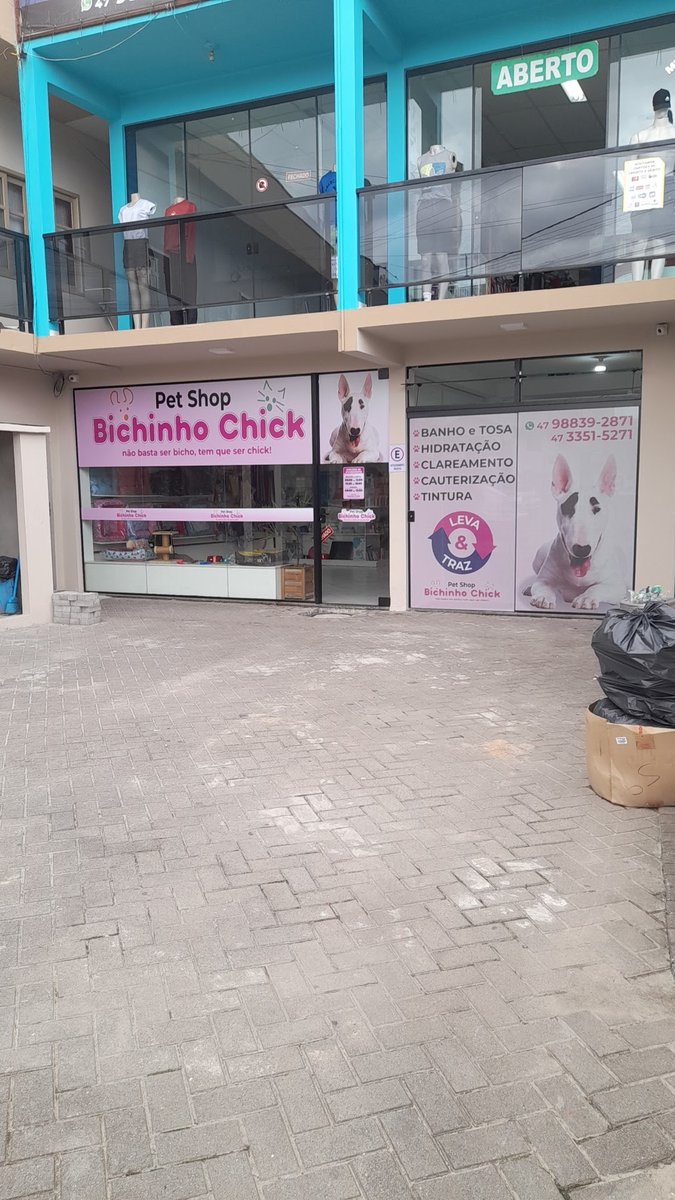 Pet Shop Bichinho Chick