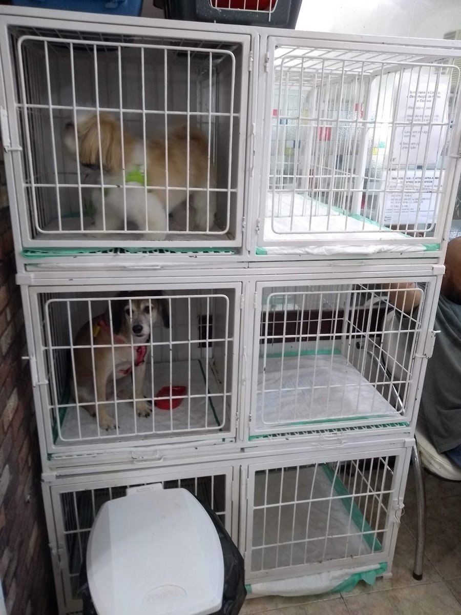 Veterinária da Barra