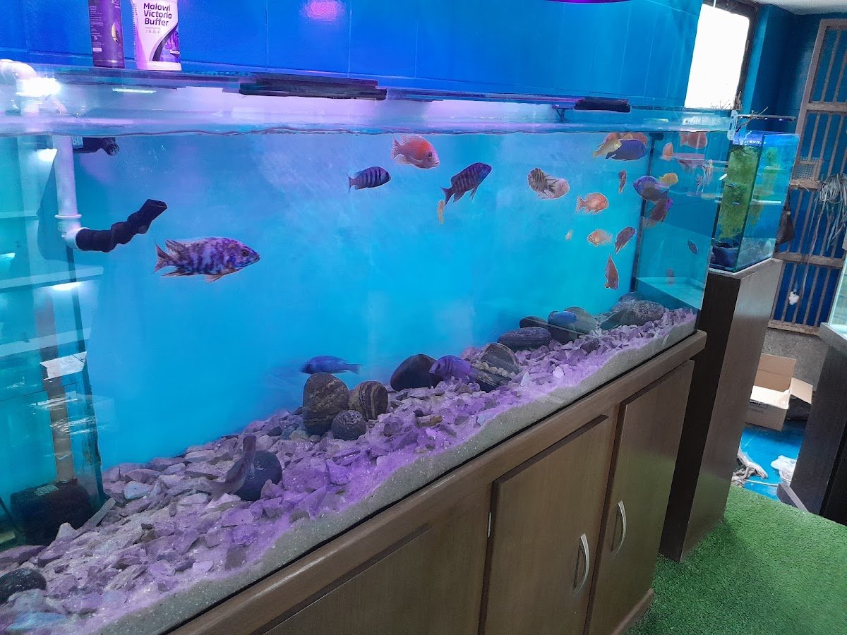 Aquário Mania - Pet Shop em São Gonçalo