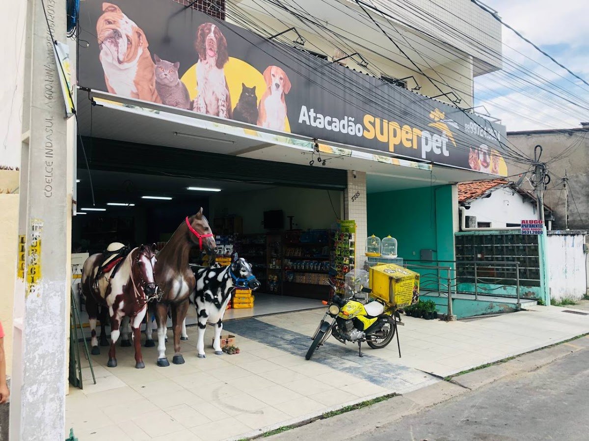 Bicho Chic Super Pet