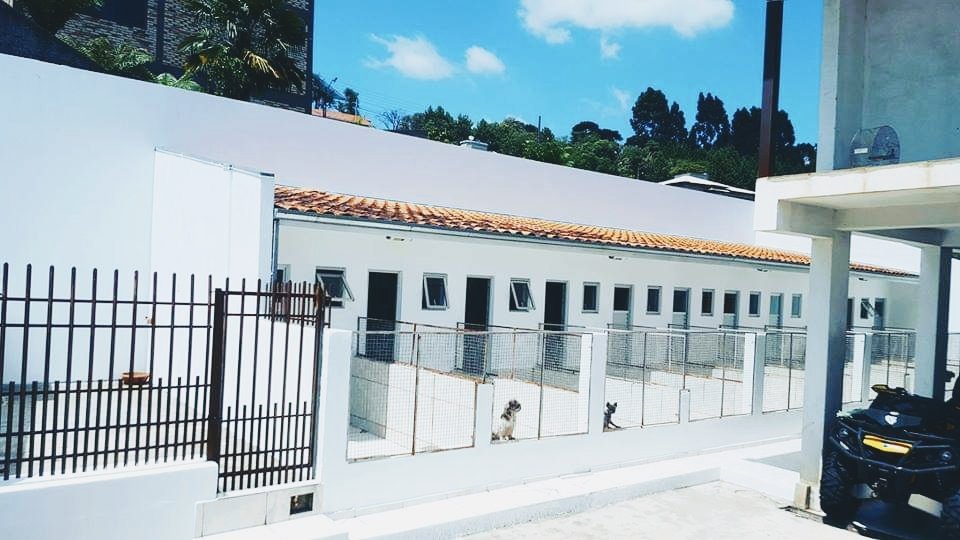 Pet hotel mundo animal