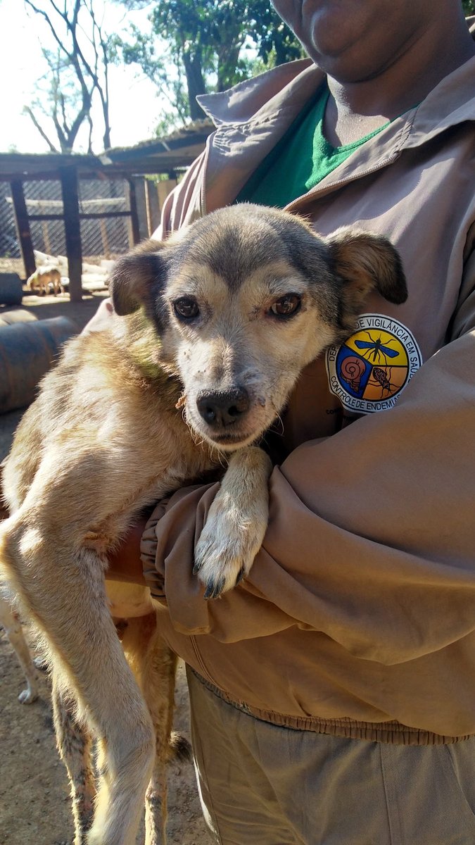 CCZ - Conselheiro Lafaiete MG