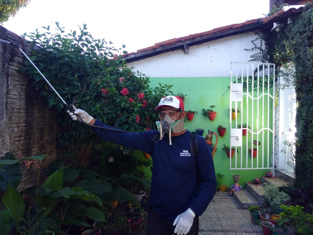 Mr Dedetização em Caxias Maranhão