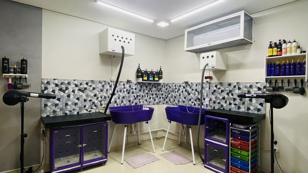 Brioz Pet - Pet Shop em Caxias