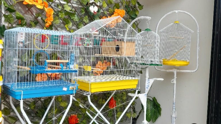 AgroPet Ávila e Ribeiro