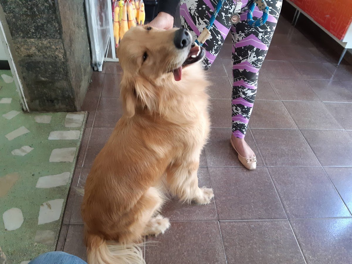 Clínica Veterinária União