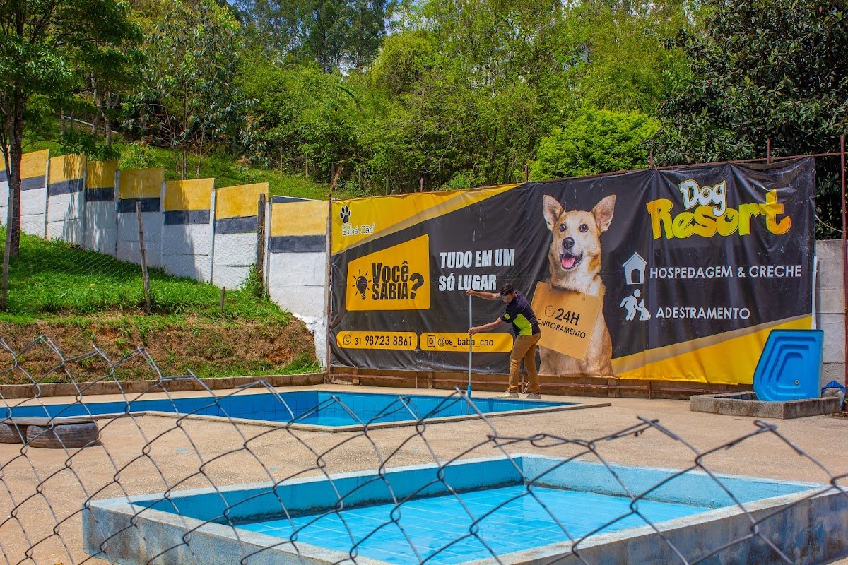 Dog Resort - Os Baba Cão