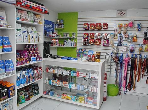 Cão Guia Adestramento