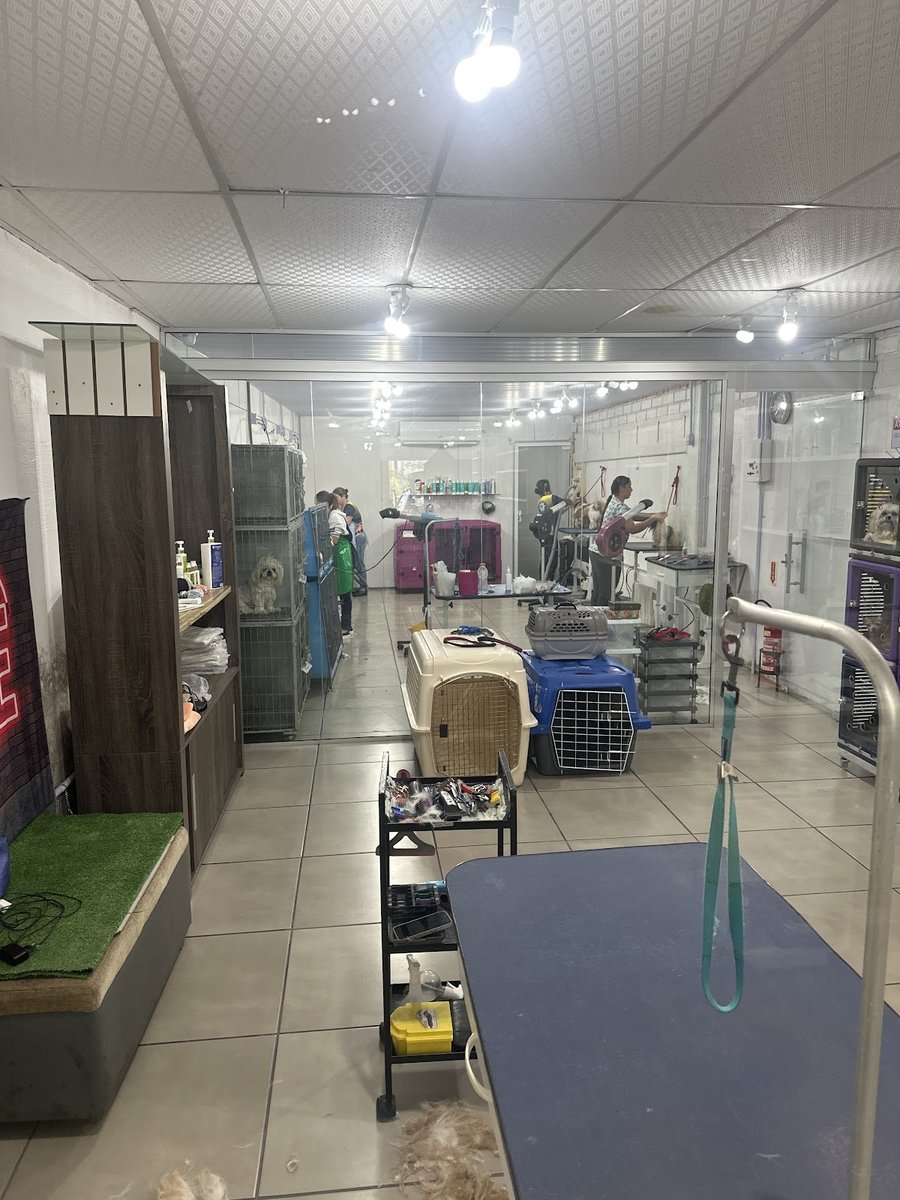 Anna´s Pet - Pet Shop em São José