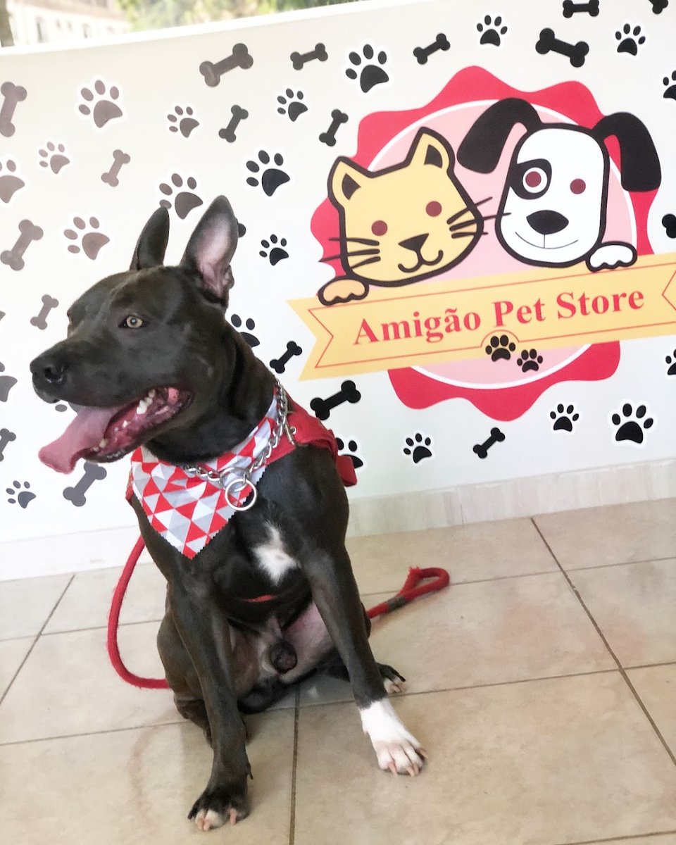 Amigão Pet Store - Brasília