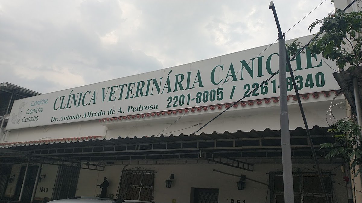 Clínica Veterinária Caniche - Pet Shop em Rio de Janeiro