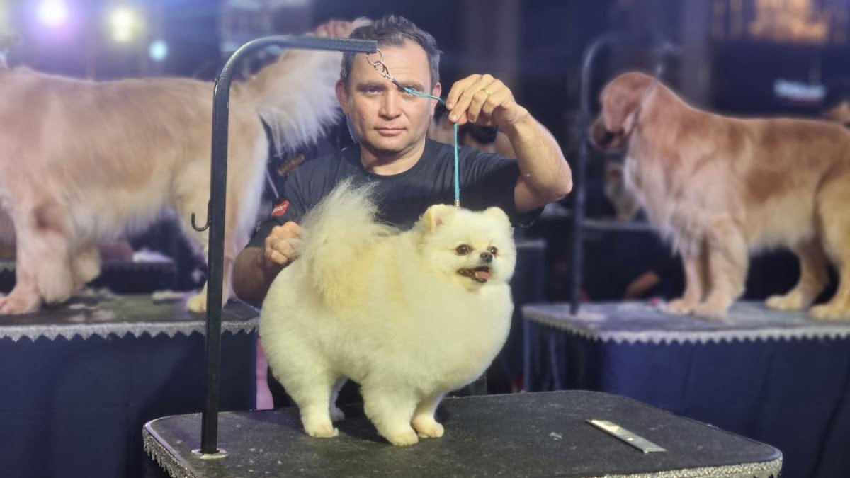 Zavine Grooming Studio - Banho e tosa no Guará - Pet Shop em Brasília