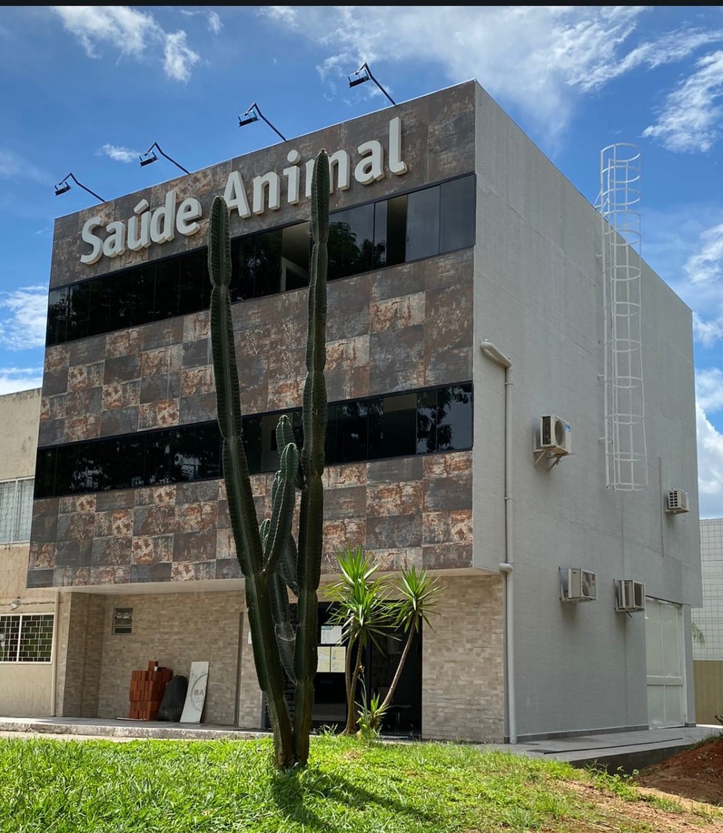Clínica Veterinária Saúde Animal - Pet Shop em Brasília