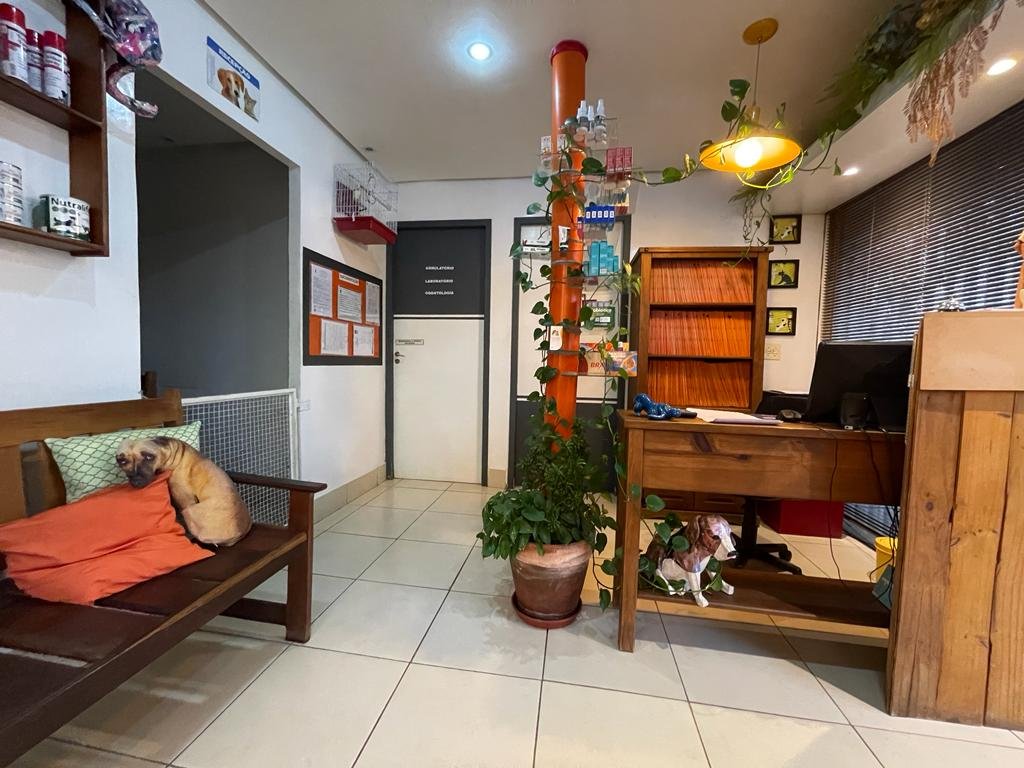 Clínica Veterinária Casa dos Bichos - Pet Shop em Brasília
