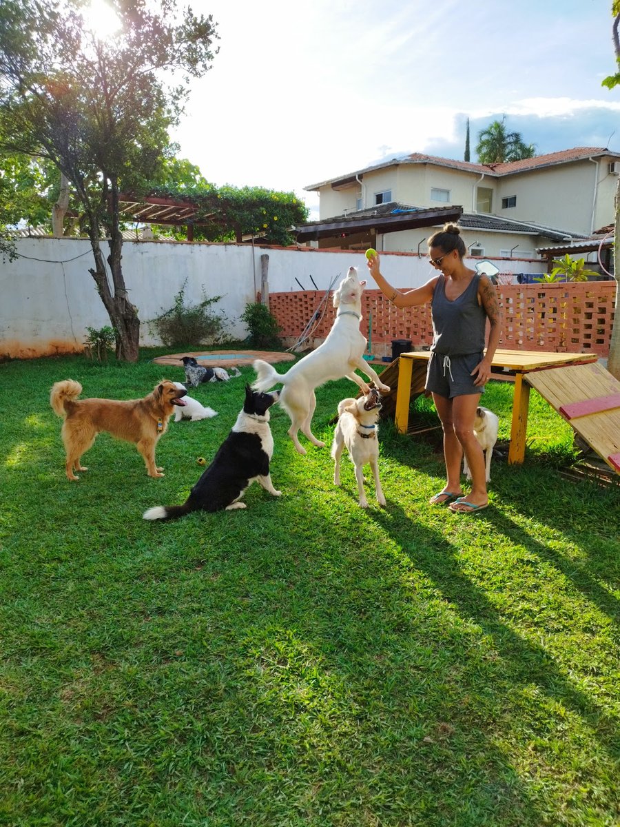 Brasília Pet Hotel
