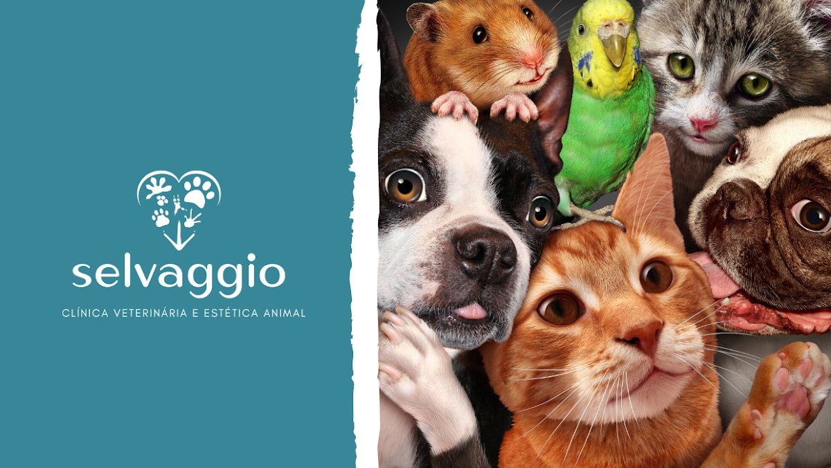 Selvaggio Clinica Veterinária - Pet Shop em Rio de Janeiro