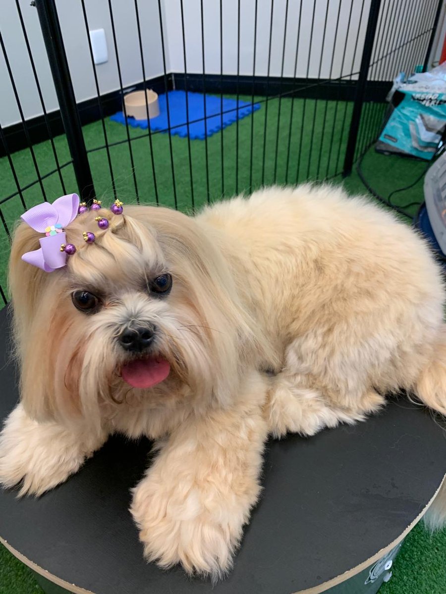 Turma do Banho Petshop