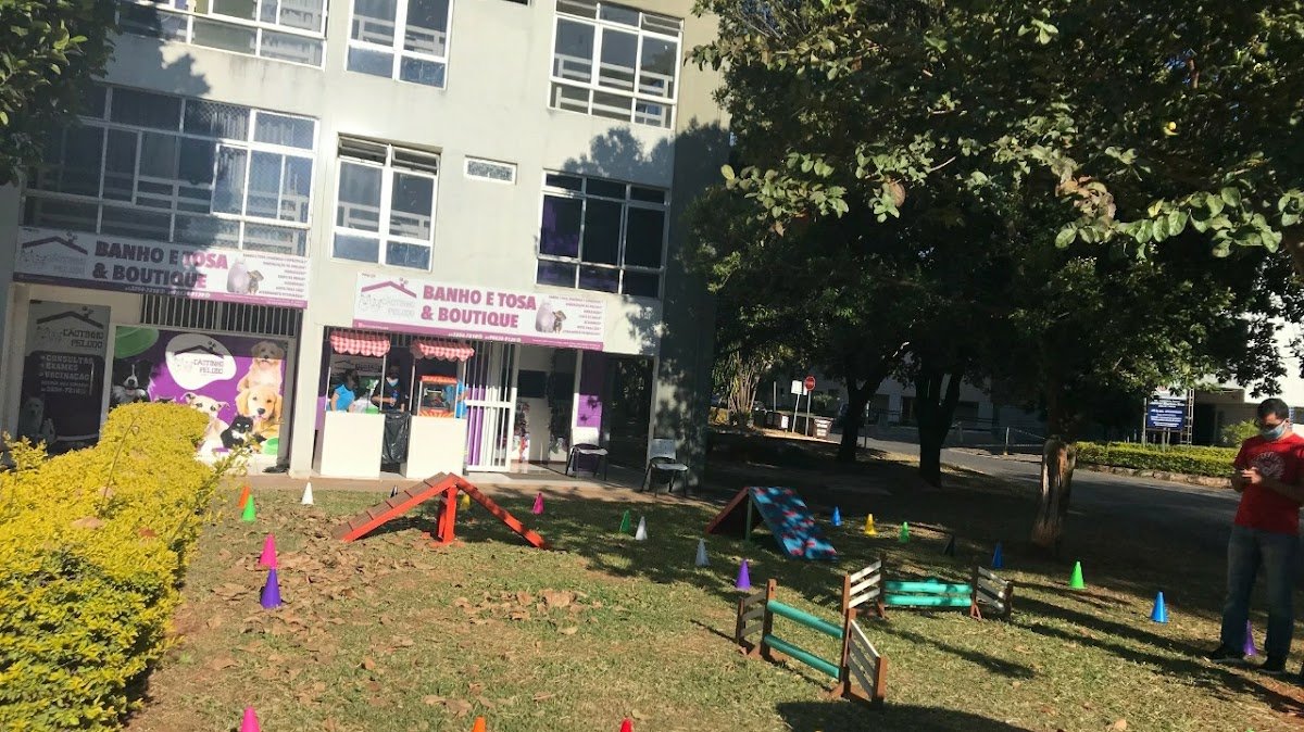 Cãotinho Peludo Banho e tosa & Boutique - Pet Shop em Brasília