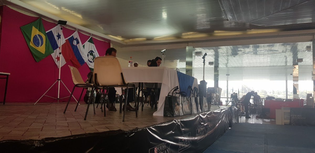 Kennel Club de Brasília