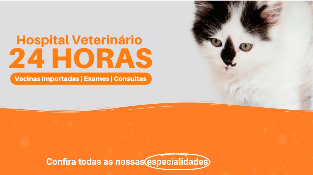 Animais-DF | Hospital Veterinário | Ceilândia - DF