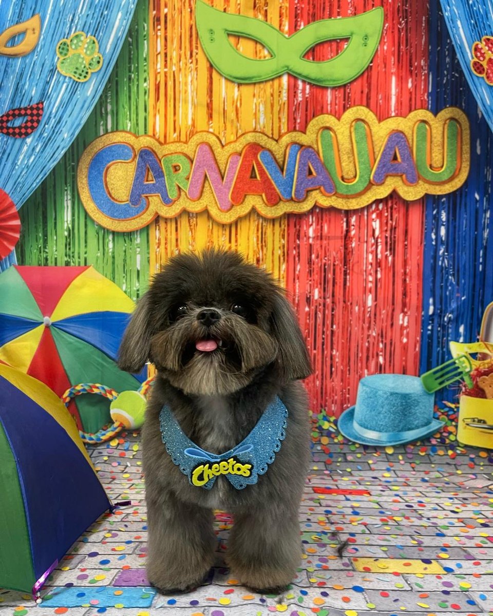 Petshop Mão AUmiga