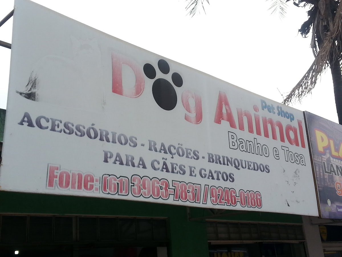 Pet Shop Dog Animal - Pet Shop em Brasília