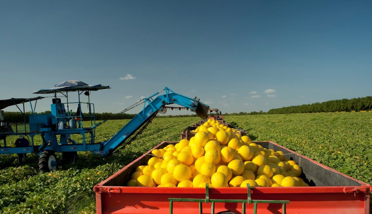 Itaueira Agropecuária