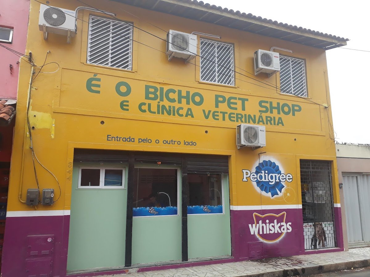 É O Bicho Pet Shop e Clinica Veterinária
